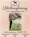 Utställningsträning.jpg