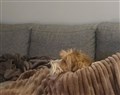 20251126 Tobbe efter prov.jpg