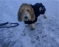20251126 Tobbe prov .jpg